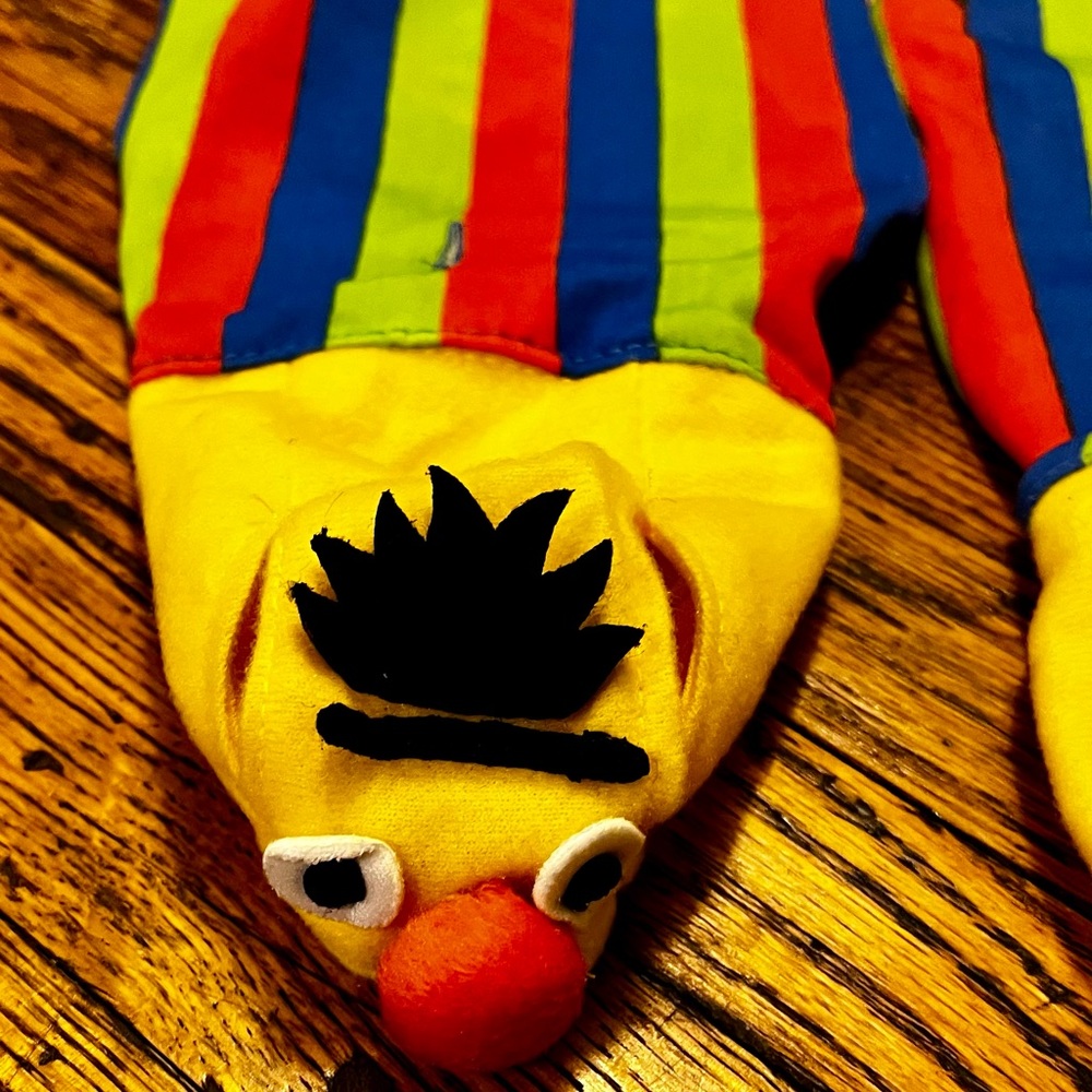 Sesame Street Bert Pet Costume